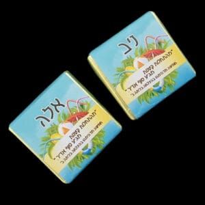 שוקולד נפוליטן