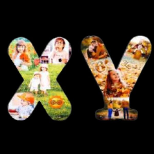⁦אות עץ (קולאז')⁩ – תמונה ⁦4⁩