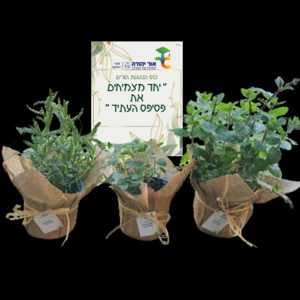 צמחי תבלין